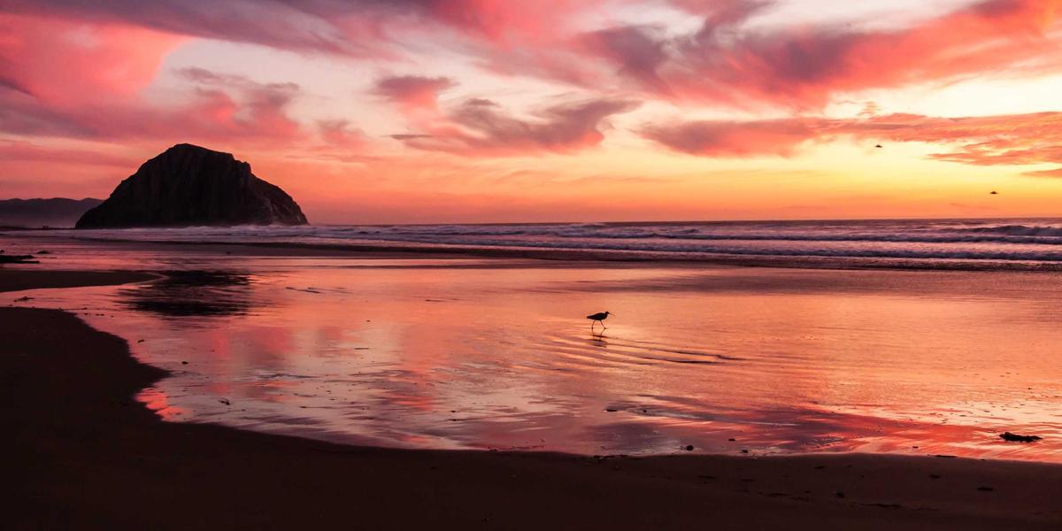 Radiatori Non Scaldano: 8 Cause e Come Risolverle